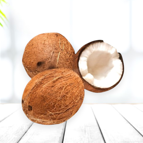 Coconut - Medium
