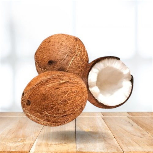 Coconut - Medium