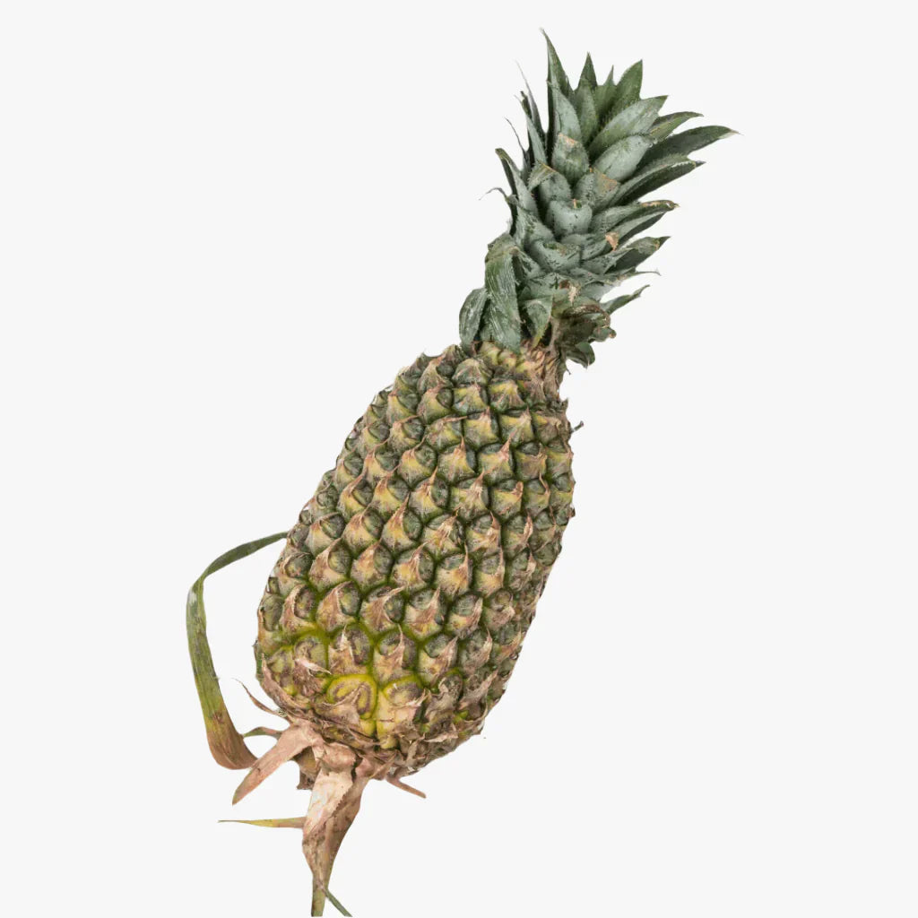 Pineapple - medium