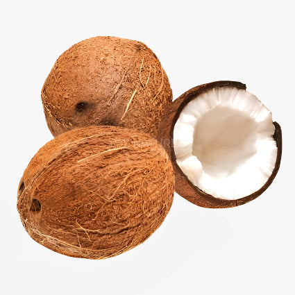 Coconut Per Kg