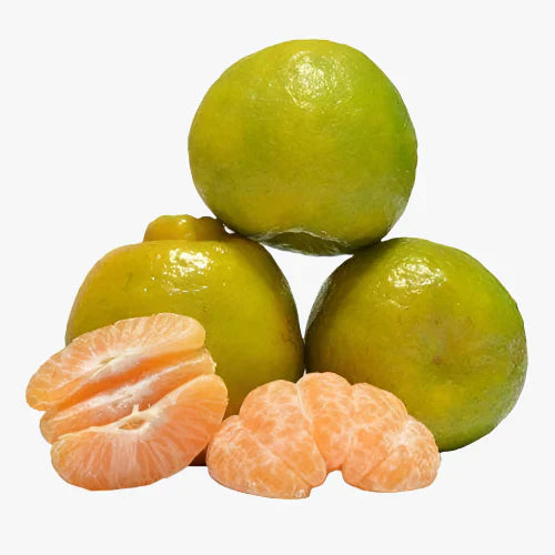 Orange Fruit- Nagpur