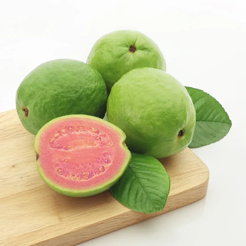 Guava (peraykka) - Pink