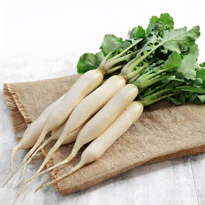 Radish - White (Loose)