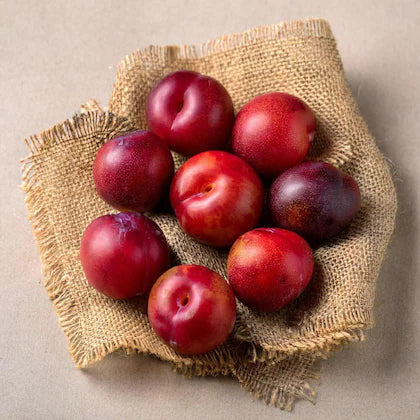 Indian Plum