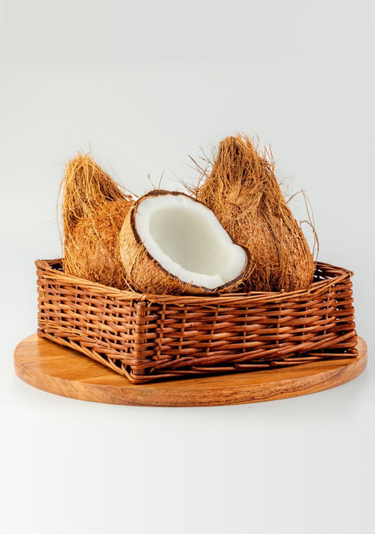 Coconut - Medium
