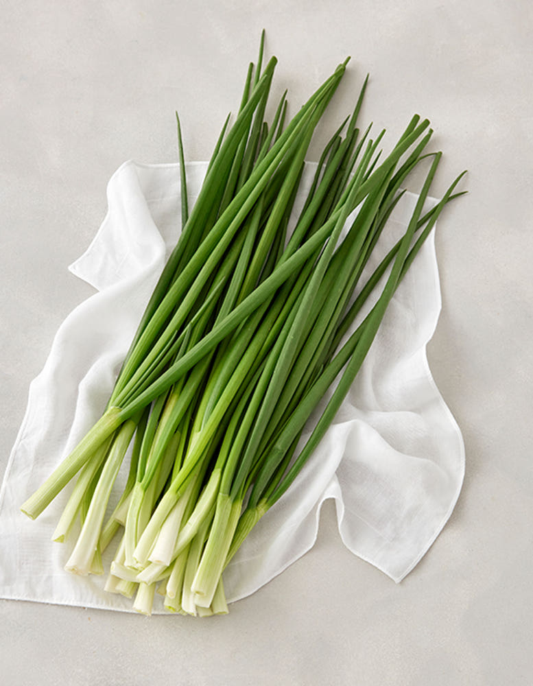 Spring Onion - Direct