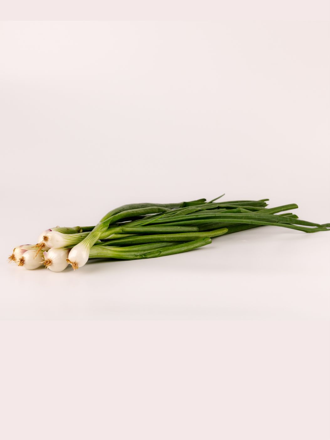Spring Onion - Direct