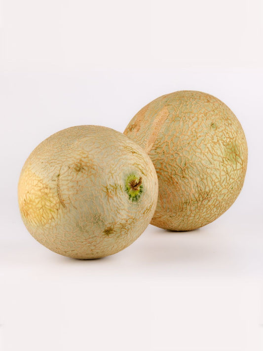 Muskmelon / Shamam