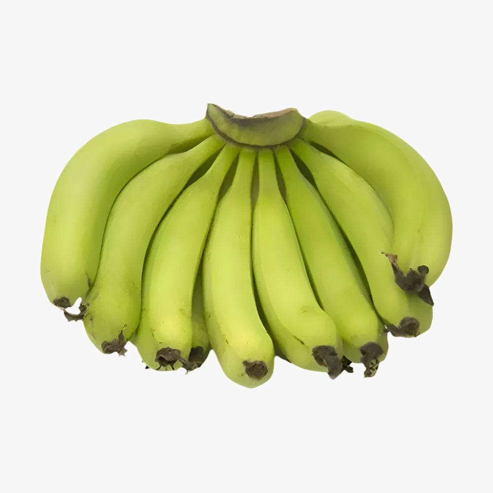 Banana Robusta