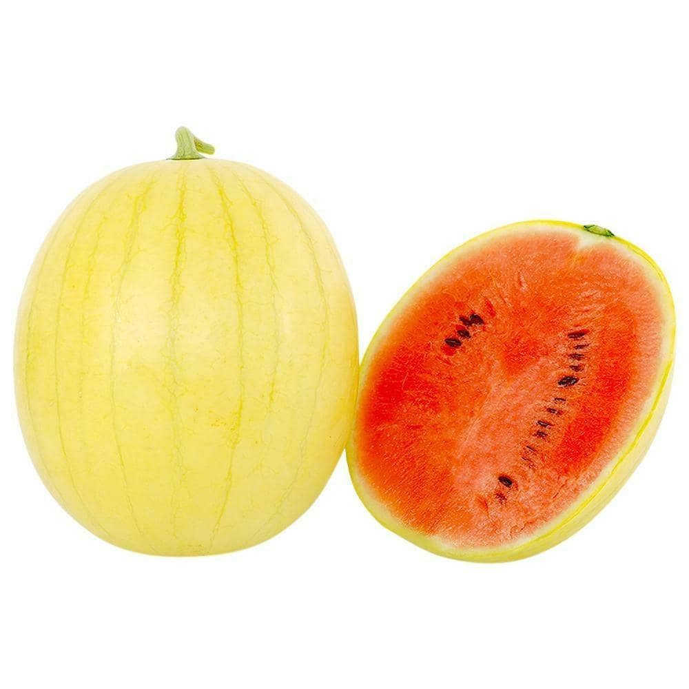 Watermelon Yellow- medium